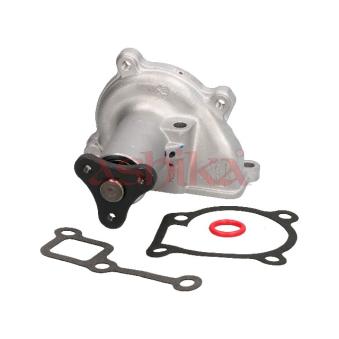 Pompe à eau ASHIKA 35-03-302