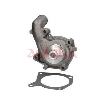 Pompe à eau ASHIKA 35-03-333