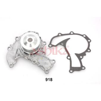 Pompe à eau ASHIKA 35-09-918