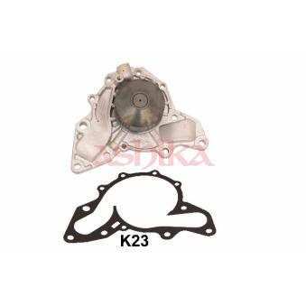 Pompe à eau ASHIKA 35-0K-K23