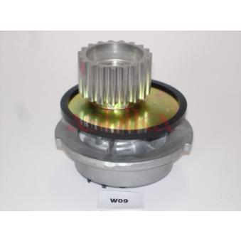 Pompe à eau ASHIKA OEM 96872700 Pompe à eau ASHIKA OEM 96872700