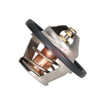 Thermostat, liquide de refroidissement ASHIKA OEM 7910011880