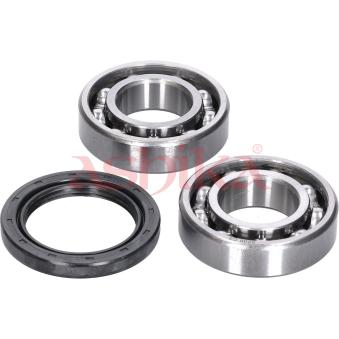 Roulement de roue avant ASHIKA [44-17004]