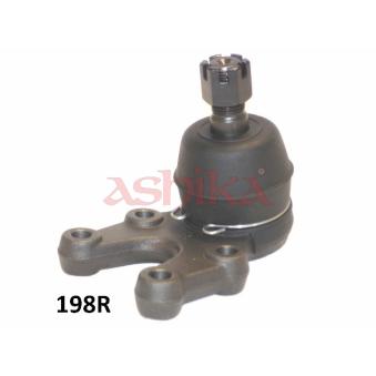 Rotule de suspension ASHIKA 53-01-198R