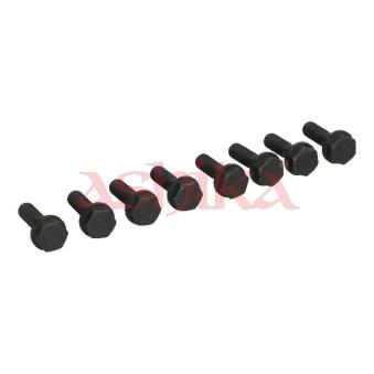Vis/boulon au support du pignon pour volant moteur ASHIKA 54-02-200