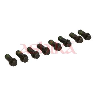 Vis/boulon au support du pignon pour volant moteur ASHIKA 54-03-300