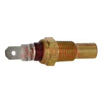 Sonde de température, liquide de refroidissement ASHIKA 64-03-304