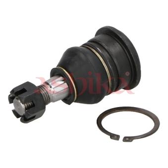 Rotule de suspension ASHIKA 73-01-100