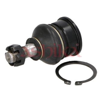 Rotule de suspension ASHIKA OEM 545016F600