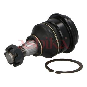 Rotule de suspension ASHIKA OEM 401602Y000 Rotule de suspension ASHIKA OEM 401602Y000
