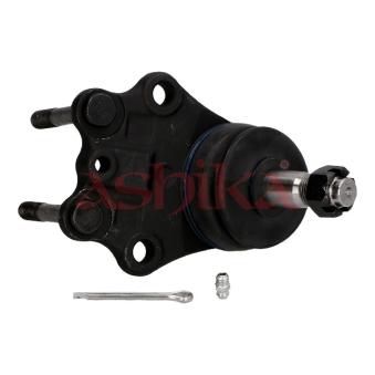 Rotule de suspension ASHIKA [73-02-234]