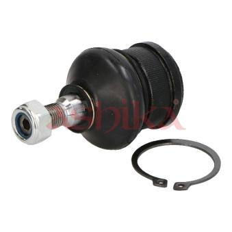 Rotule de suspension ASHIKA 73-05-502 pour MAZDA BT-50 1.5 - 122cv