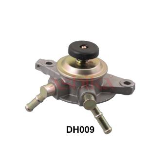 Système d'injection ASHIKA 99-DH009