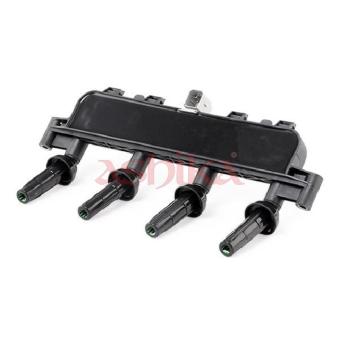 Bobine d'allumage ASHIKA OEM 5970A8