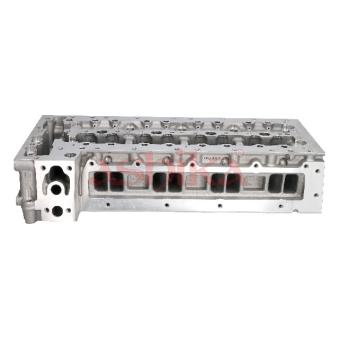 Culasse de cylindre ASHIKA OEM 504213159 Culasse de cylindre ASHIKA OEM 504213159