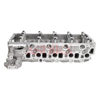 Culasse de cylindre ASHIKA [IS008S]