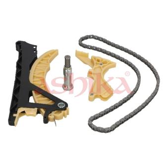 Kit de distribution par chaîne ASHIKA OEM 11311439851