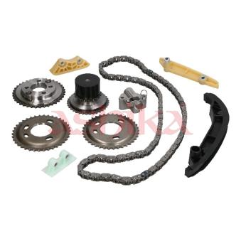 Kit de distribution par chaîne ASHIKA OEM 1753161 Kit de distribution par chaîne ASHIKA OEM 1753161