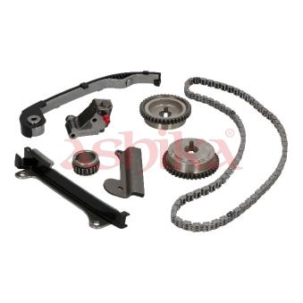 Kit de distribution par chaîne ASHIKA OEM 135101F700