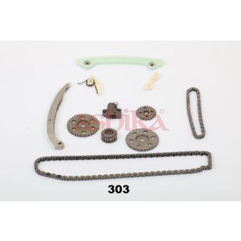 Kit de distribution par chaîne ASHIKA KCK303