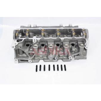 Culasse de cylindre ASHIKA NS013S pour RENAULT THALIA 1.5 DCI - 65cv