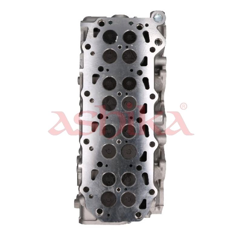 Culasse de cylindre ASHIKA NS039S - Visuel 2