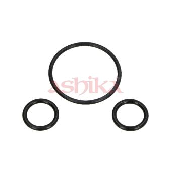 Kit de bagues d'étanchéité ASHIKA ORING2