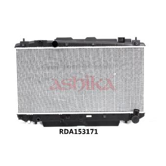 Radiateur, refroidissement du moteur ASHIKA OEM 1640027060