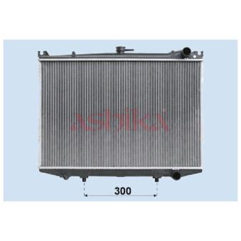 Radiateur, refroidissement du moteur ASHIKA RDA213047