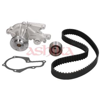 Pompe à eau + kit de courroie de distribution ASHIKA OEM 1276185C20000
