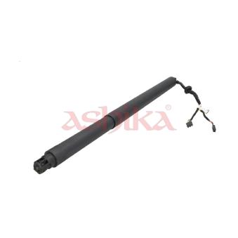 Vérin de hayon, de coffre ASHIKA ZA-0906L