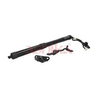 Moteur électrique, hayon arrière droit ASHIKA OEM 6891009010