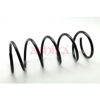 Ressort de suspension ASHIKA OEM 1003604