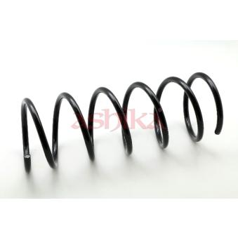 Ressort de suspension ASHIKA OEM 1003604