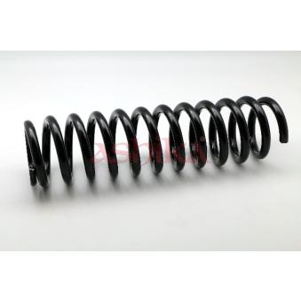 Ressort de suspension ASHIKA OEM A1243212004
