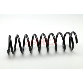 Ressort de suspension ASHIKA ZCA1111A