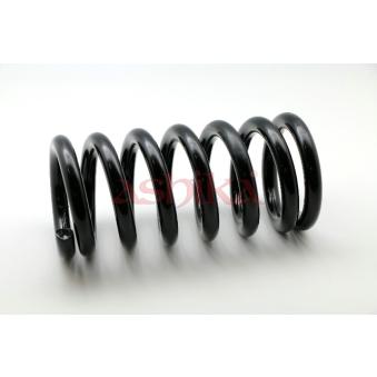 Ressort de suspension ASHIKA ZCA1381A