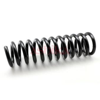Ressort de suspension ASHIKA OEM A2023211504