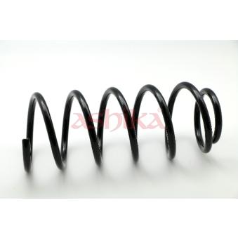 Ressort de suspension ASHIKA OEM 312049