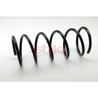Ressort de suspension ASHIKA OEM 1069018