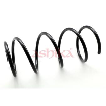 Ressort de suspension ASHIKA ZCA2967C