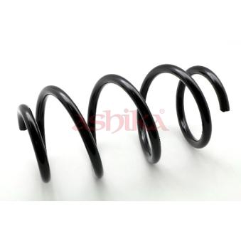 Ressort de suspension ASHIKA OEM 50707857
