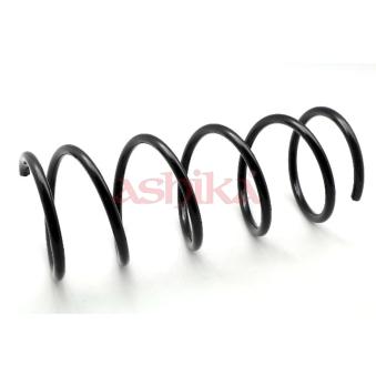 Ressort de suspension ASHIKA OEM 1003604