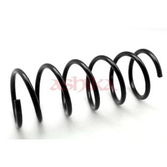 Ressort de suspension ASHIKA OEM 546301C500