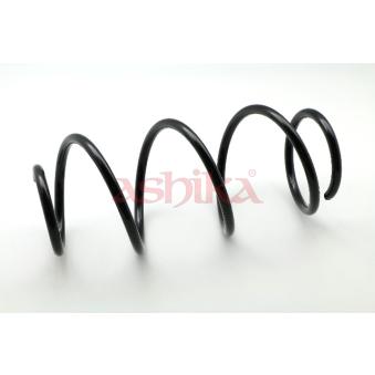 Ressort de suspension ASHIKA OEM 8200127287