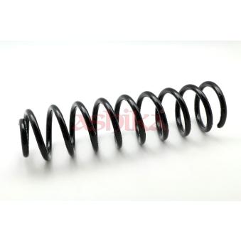 Ressort de suspension ASHIKA OEM A2113210504