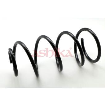 Ressort de suspension ASHIKA OEM 1305334