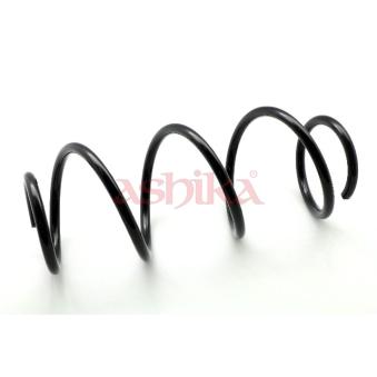 Ressort de suspension ASHIKA OEM 540100773R