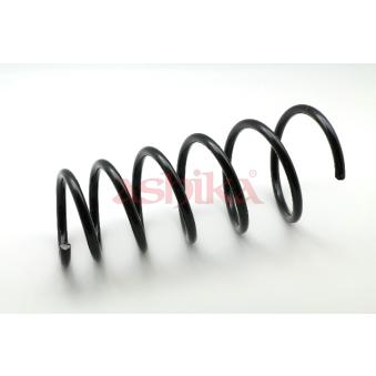Ressort de suspension ASHIKA OEM 4111162J40