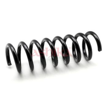 Ressort de suspension ASHIKA OEM A2103211204